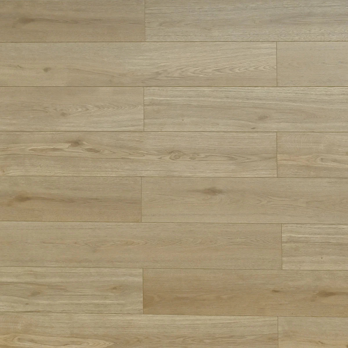 Melrose Laminate Flooring - TF6612-F