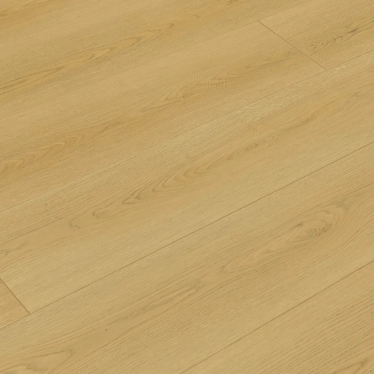 Prairie Dog Laminate Flooring - TF8307-F