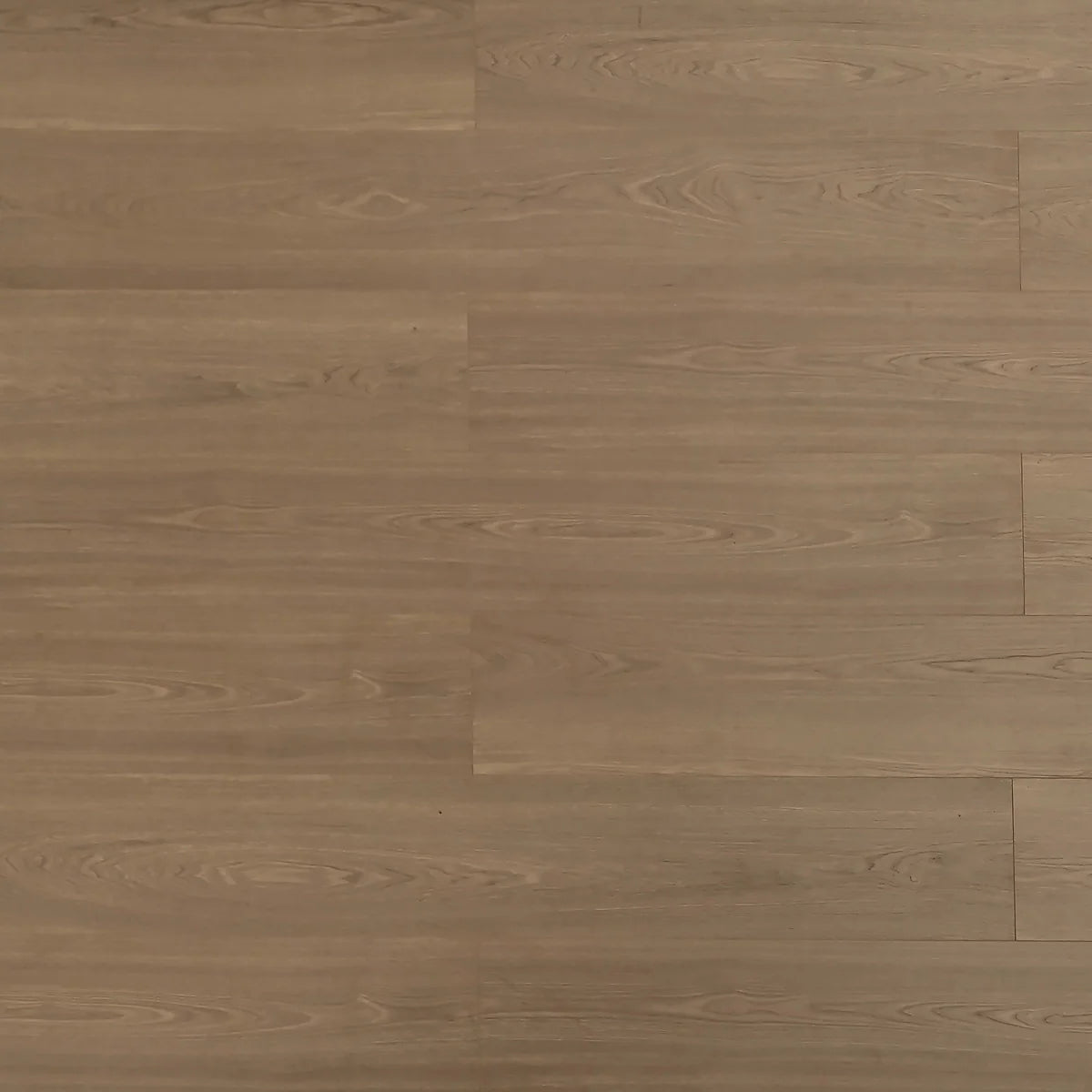 Grizzly Laminate Flooring - TF8309-F