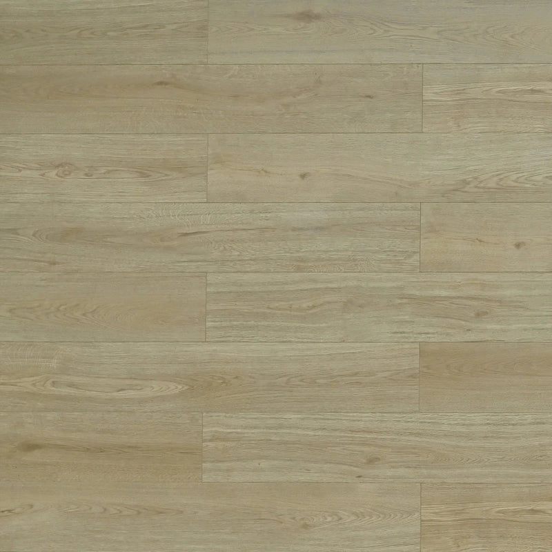 Las Cruces Laminate Flooring - TF6611-F