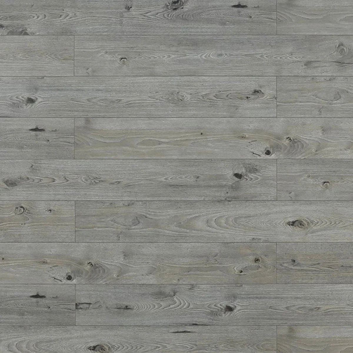 Summer Hare Laminate Flooring - TF8003