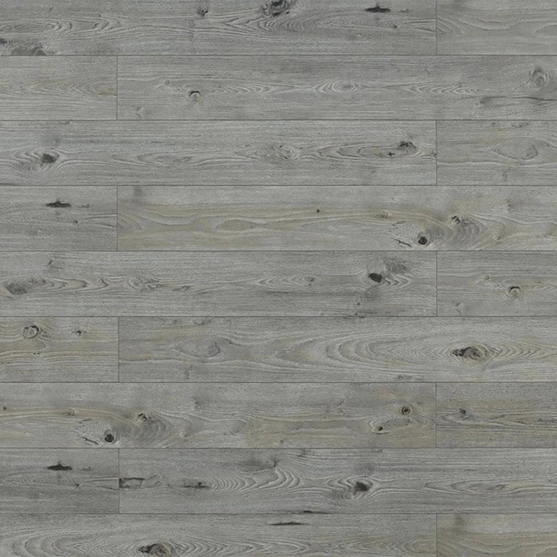 Summer Hare Laminate Flooring - TF8003