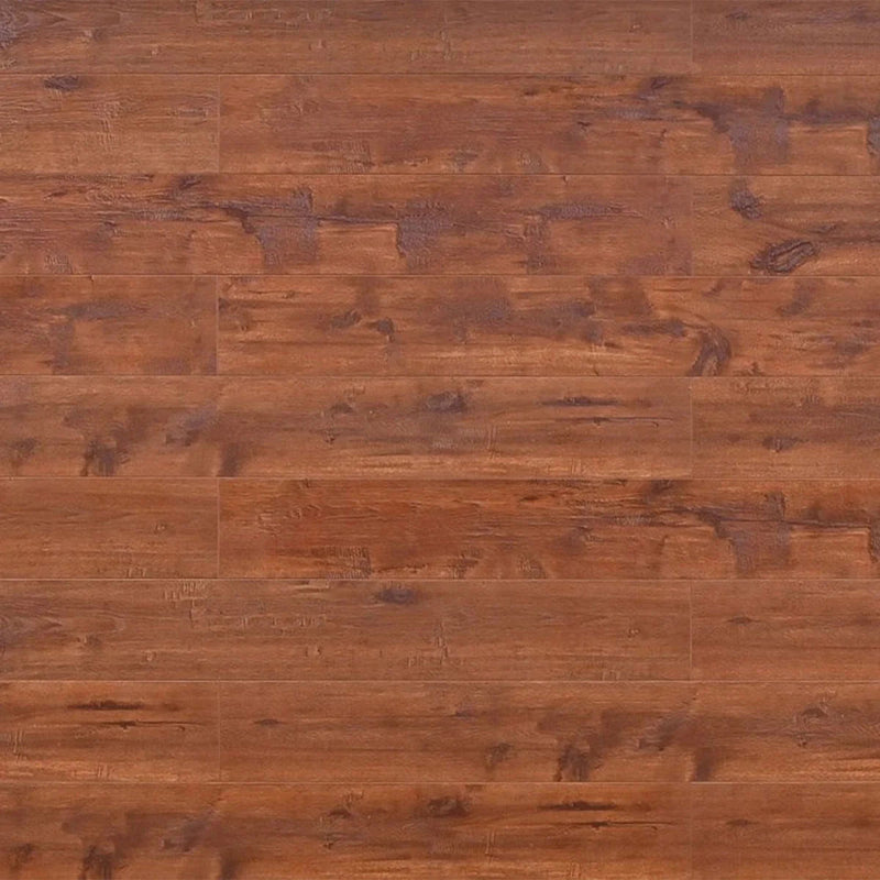 Terracotta Laminate Flooring - TF8005