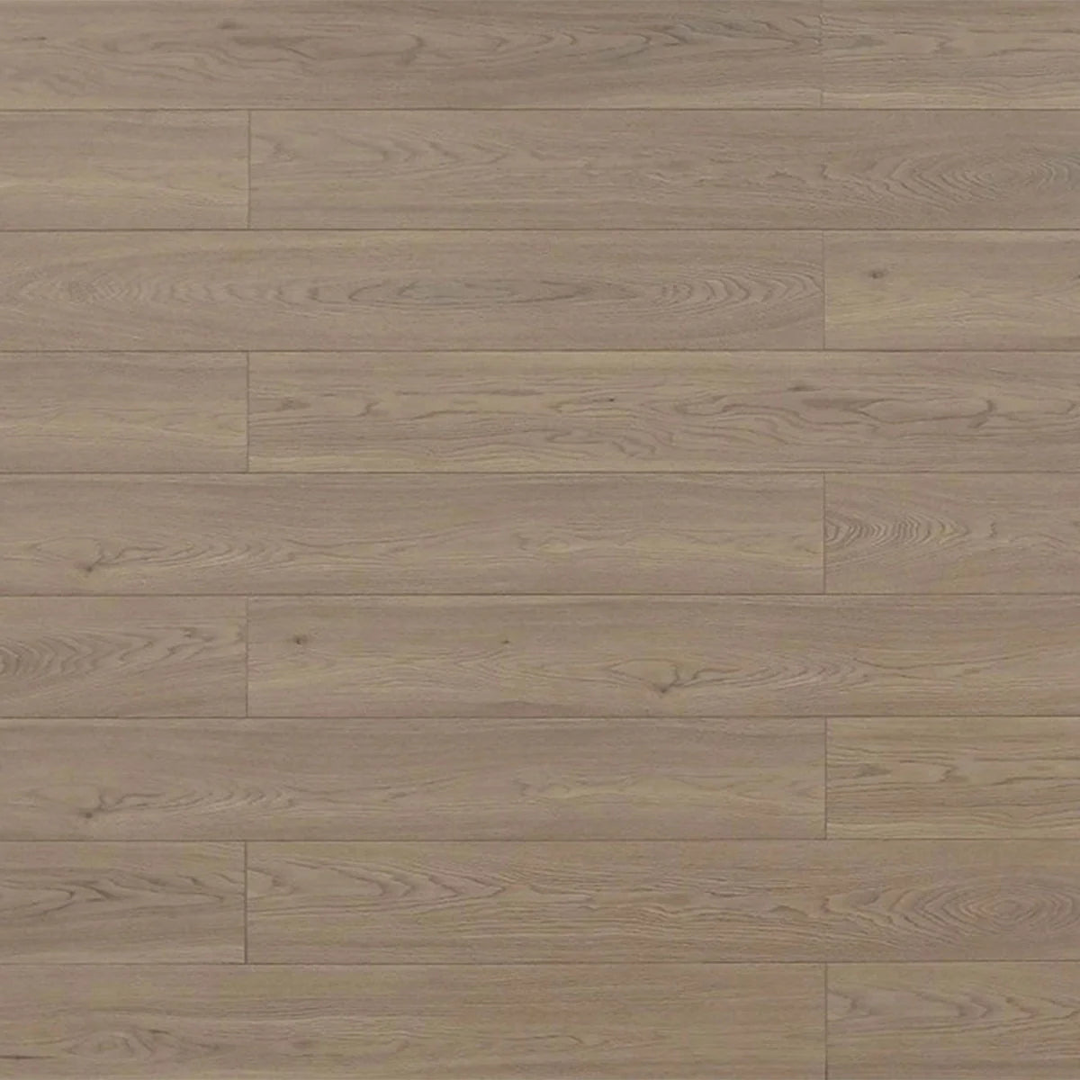 Sudede Laminate Flooring - TF8010