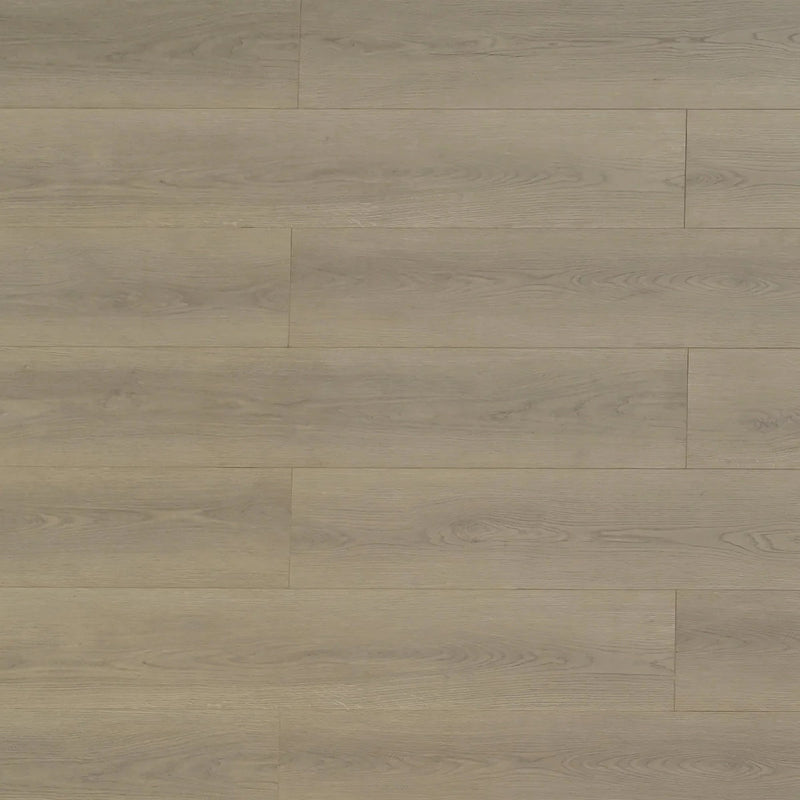 Canadian goose Laminate Flooring - TF8306-F