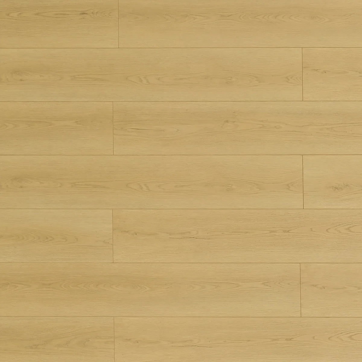 Prairie Dog Laminate Flooring - TF8307-F