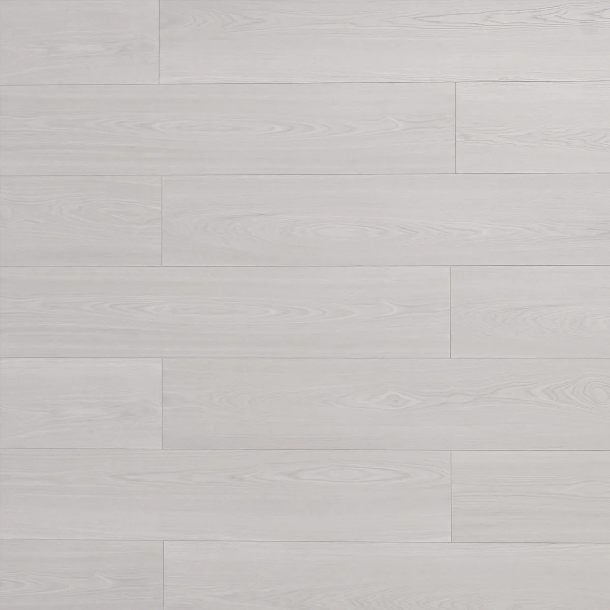 Walrus Laminate Flooring - TF8310-F
