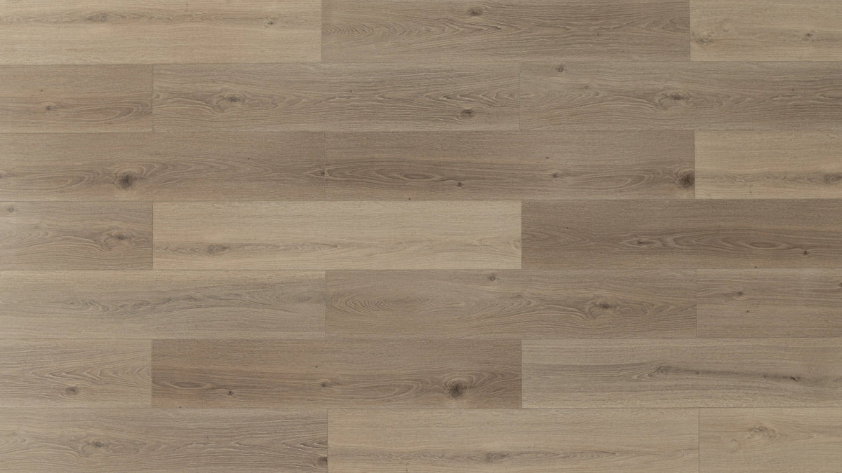 Morning Mist SPC Vinyl Flooring - TFSPC8601-F